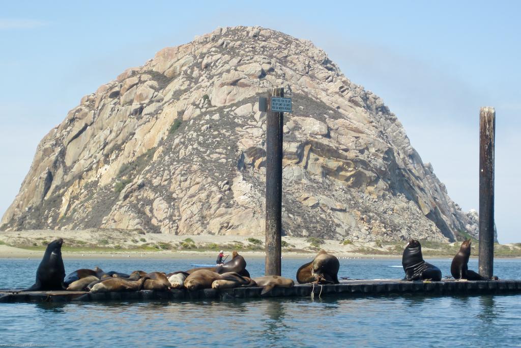 Morro Crest Inn Morro Bay Exterior foto